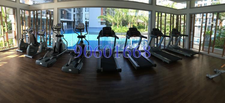 Q Bay Residences (D18), Condominium #119854942